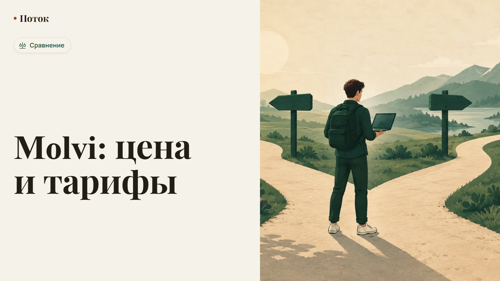 Molvi: цена и тарифы