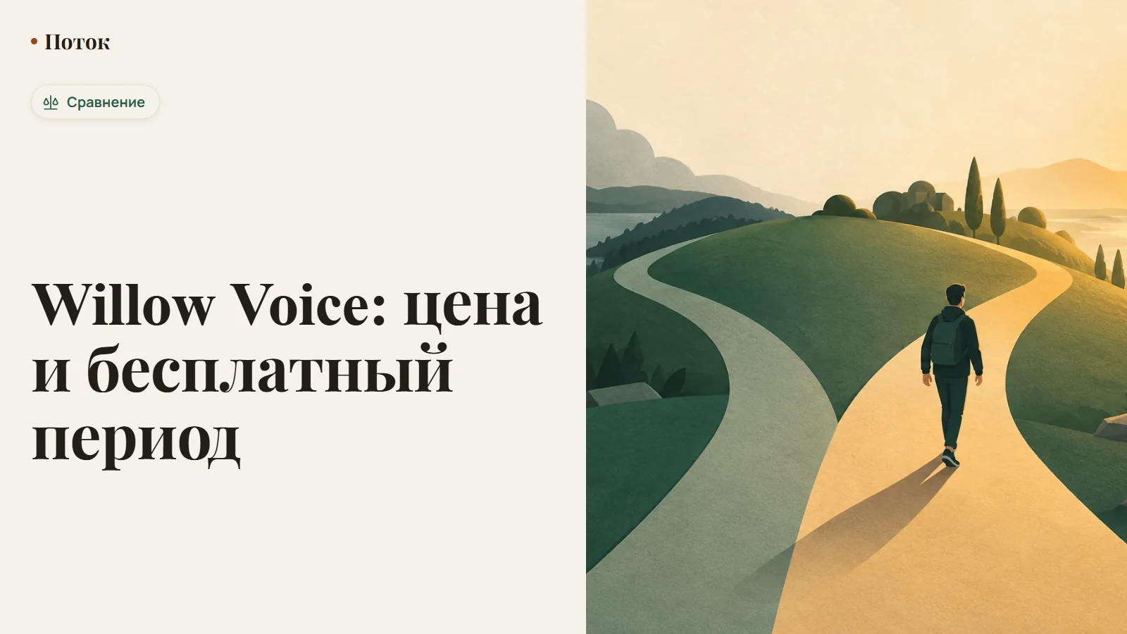 Willow Voice: цена и бесплатный период