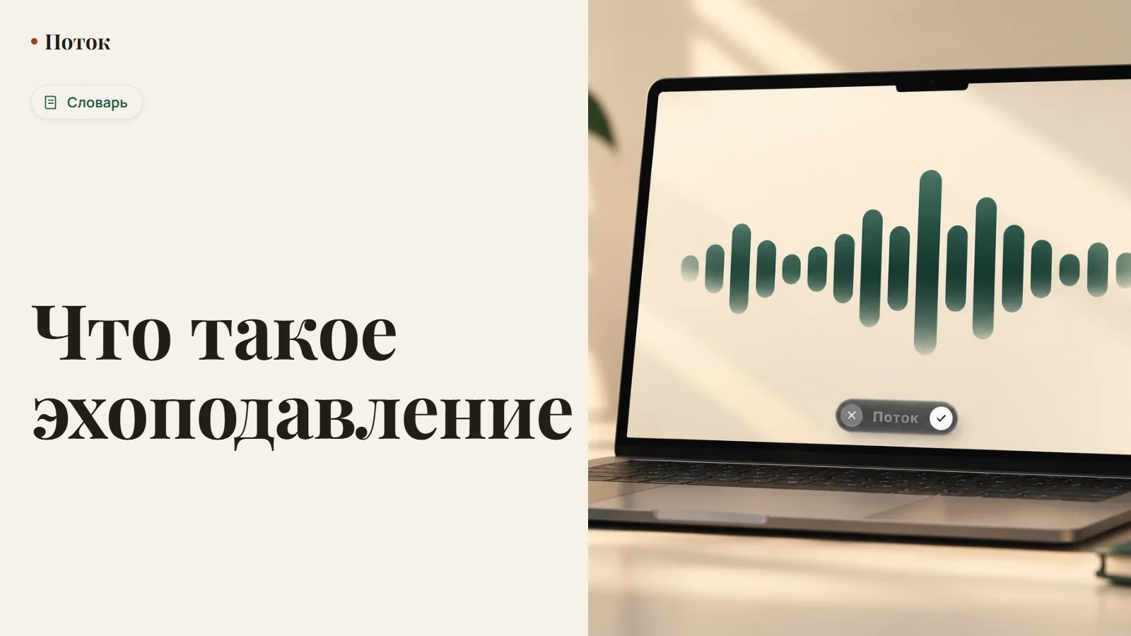 Что такое эхоподавление