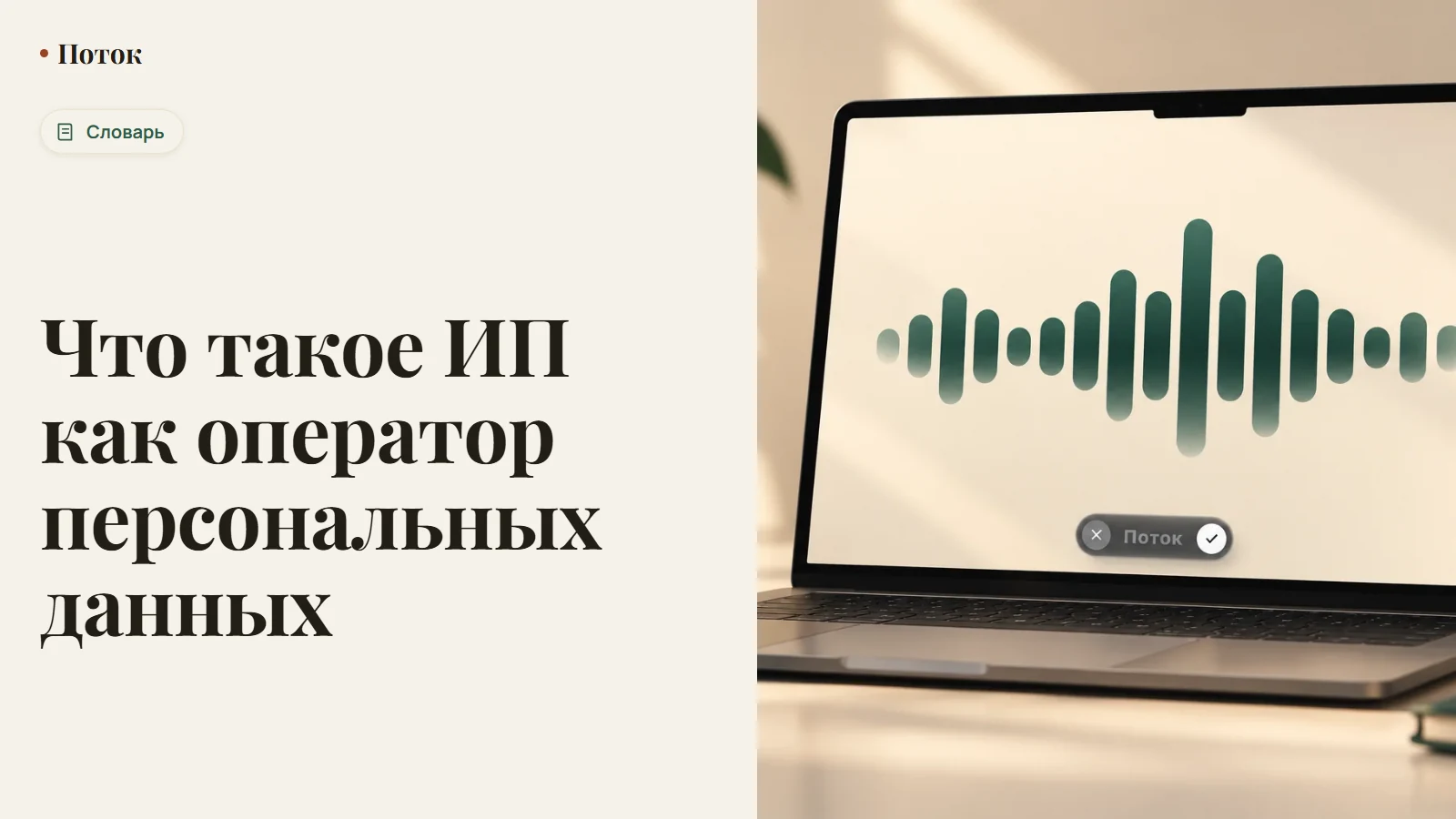 Что такое ИП как оператор персональных данных