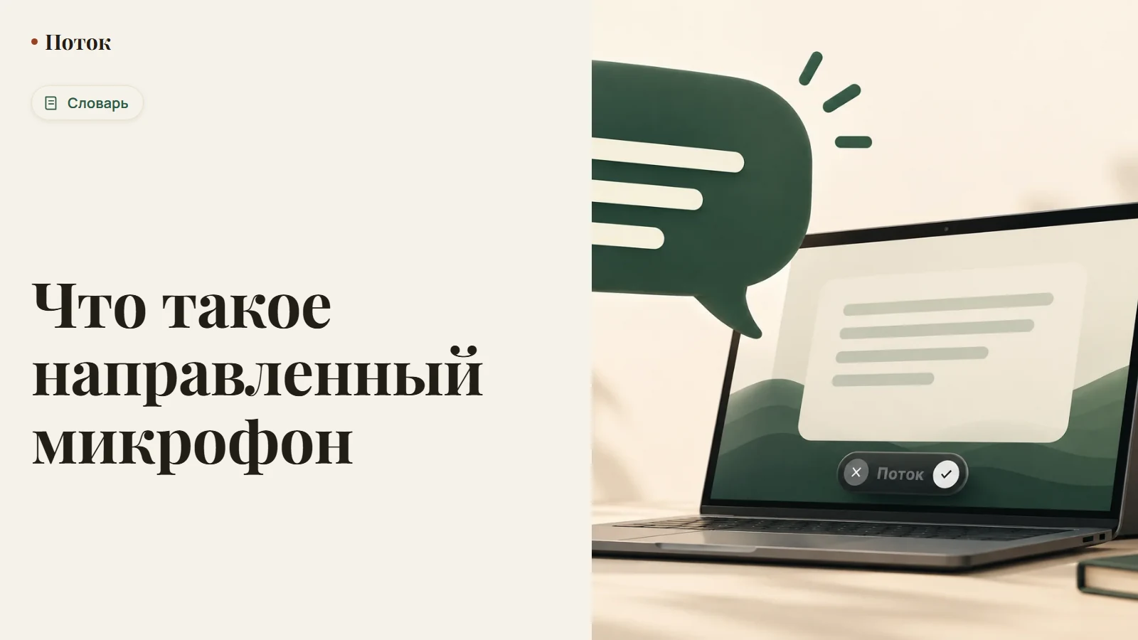 Что такое направленный микрофон
