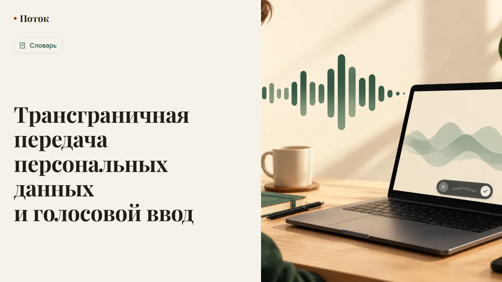 Трансграничная передача персональных данных и голосовой ввод