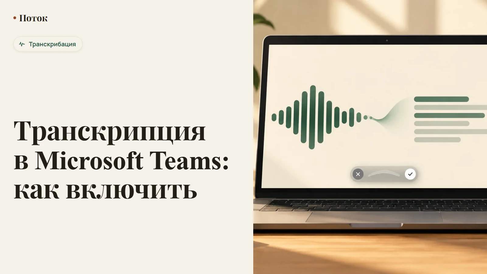 Транскрипция в Microsoft Teams: как включить