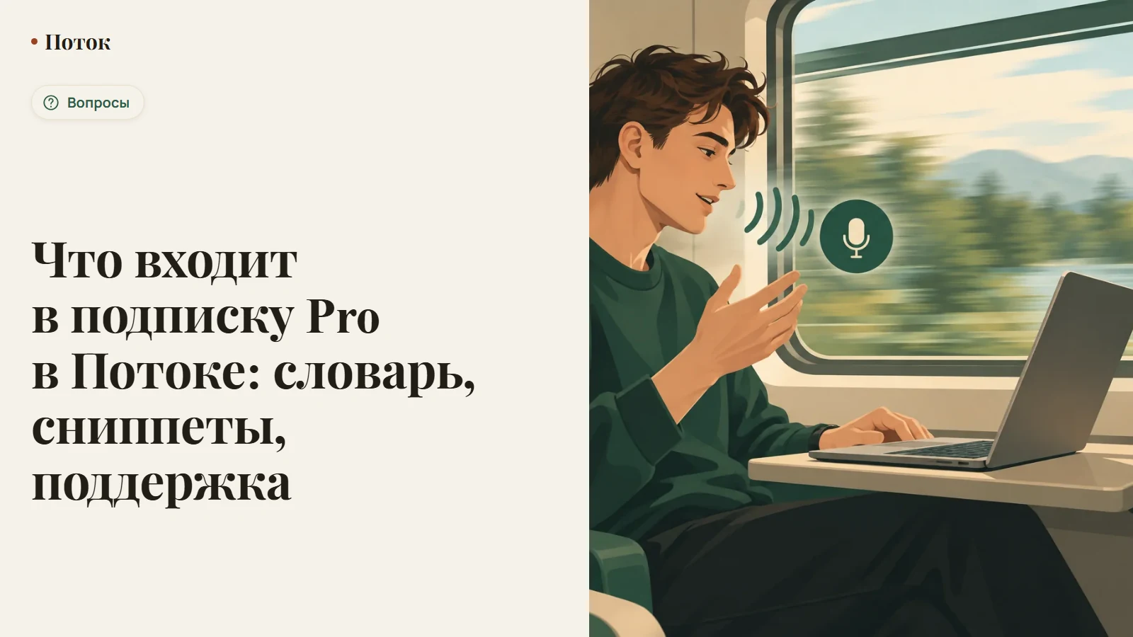 Что входит в подписку Pro в Потоке: словарь, сниппеты, поддержка